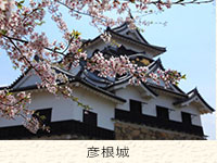 滋賀県 婚活 街コン 彦根城